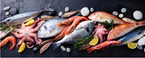 Peixe Congelado